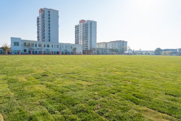 股票配资中心 融入基层治理！老港镇这些人大代表的建言促成了百姓呼声化为一桩 “美事”